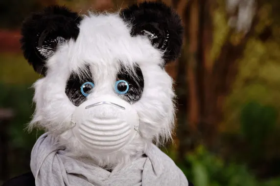 BigAzart Casino Ondersteuning